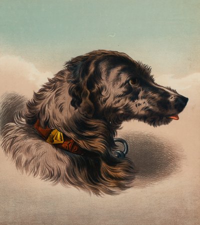 The Stag Hound () (litografía en color) de Edwin (after) Landseer