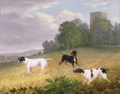 Perros señaladores en un paisaje de Edwin (attr. to) Cooper