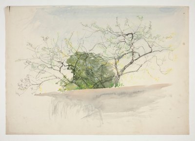 paisaje con arboles de Edwin Austin Abbey
