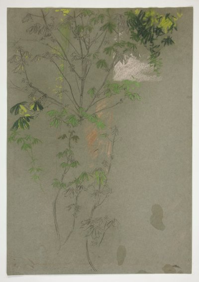 bosquejo, de, leafing, árbol, ramas de Edwin Austin Abbey