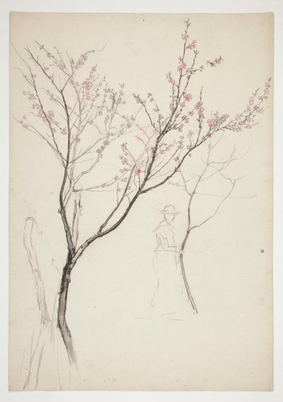 Estudio de una figura debajo de un árbol en flor de Edwin Austin Abbey