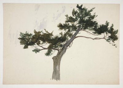estudio de un arbol de Edwin Austin Abbey