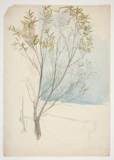 estudio de un arbol de Edwin Austin Abbey