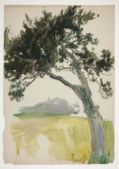 Estudio de un árbol y campo. de Edwin Austin Abbey