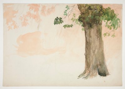 Estudio de un tronco de árbol de Edwin Austin Abbey