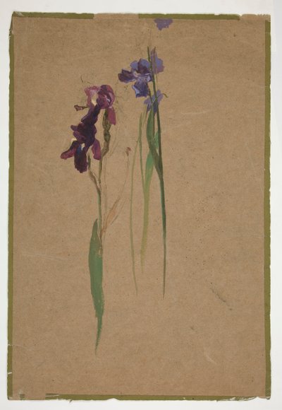 estudio de iris de Edwin Austin Abbey
