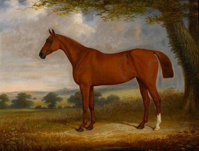 Cazador castaño en un paisaje, 1867 de Edwin Brown