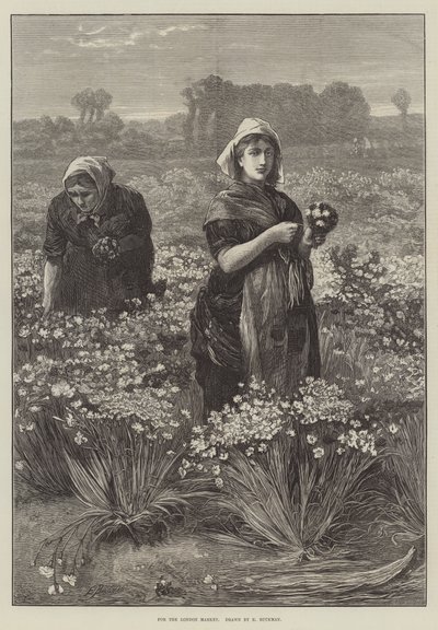 Para el mercado de Londres de Edwin Buckman