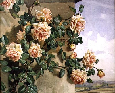 Rosas en la pared de Edwin Byatt