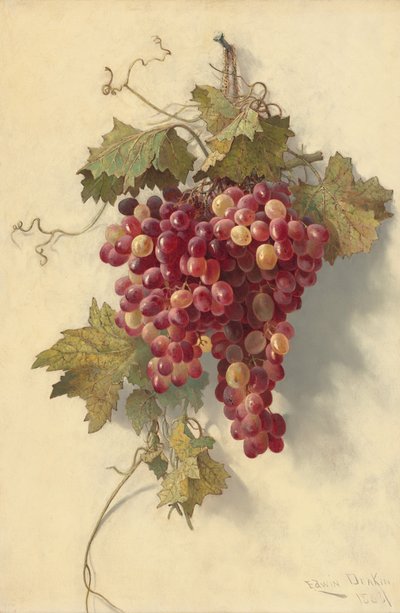 Uvas contra pared blanca de Edwin Deakin