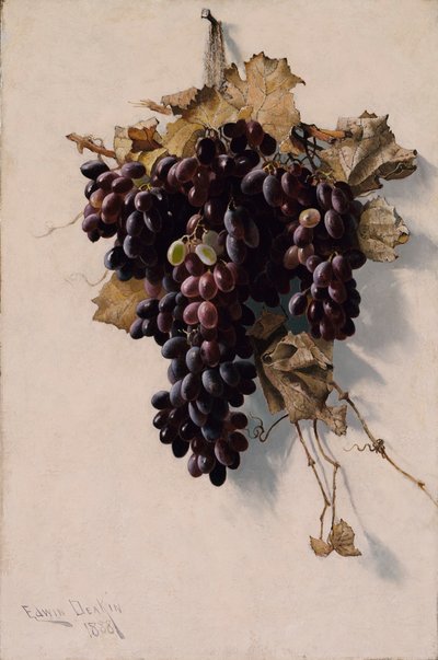 Bodegón con uvas de Edwin Deakin