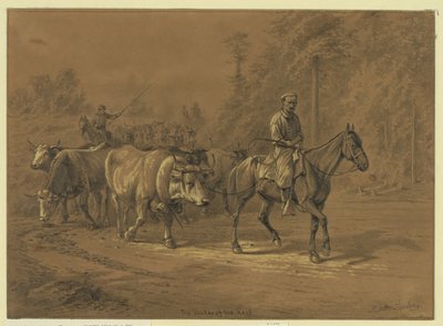 El jefe de la manada Resumen/medio: 1 dibujo. de Edwin Forbes
