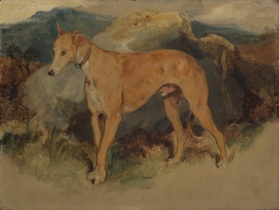 Un galgo, 1826 de Edwin Landseer