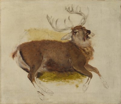 Ciervo moribundo de Edwin Landseer