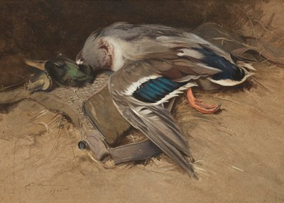 Pato Mallard de Edwin John Alexander