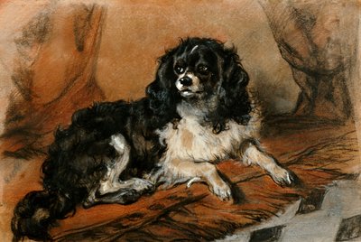 Un Spaniel King Charles de Edwin Landseer