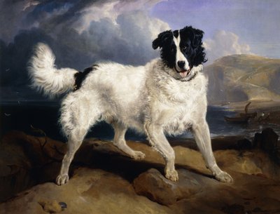 Retrato de Neptuno de Edwin Landseer