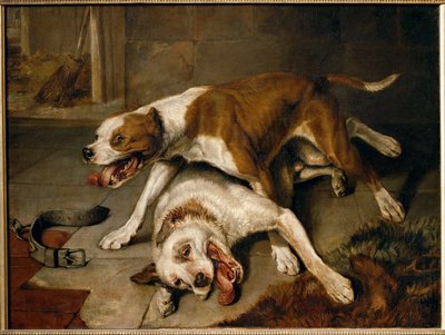 Chiens se battant, reprenant leur souffle - perros de pelea haciendo una pausa para respirar ... de Edwin Landseer