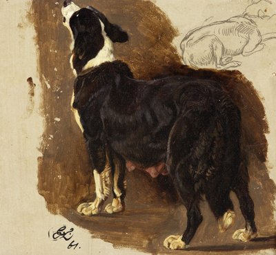 Perra Collie de Edwin Landseer