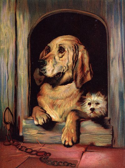 Dignidad e impudencia de Edwin Landseer