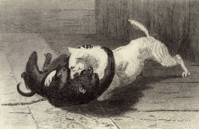 Ejemplo X, perro peleando con mono de Edwin Landseer