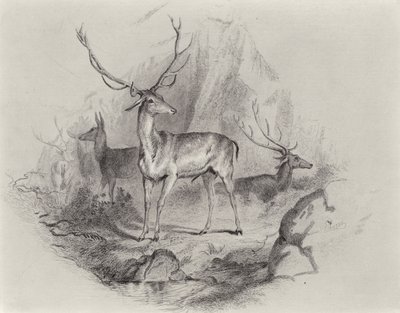 En el valle de Edwin Landseer
