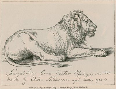 León de Senegal de Exeter Change de Edwin Landseer