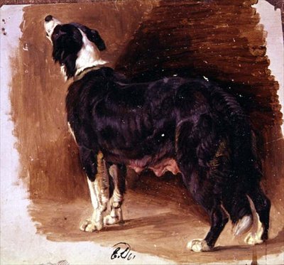 Boceto de un Collie de Edwin Landseer