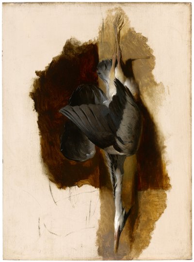 Estudio de una garza muerta, c.1832-33 de Edwin Landseer