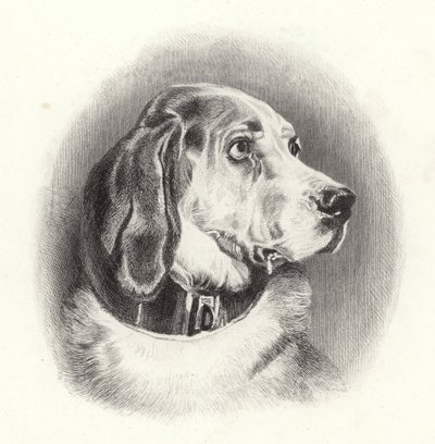 El sabueso de Edwin Landseer