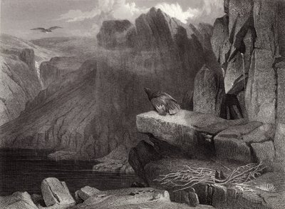 El nido del águila de Edwin Landseer