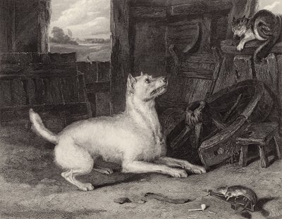 El intruso de Edwin Landseer