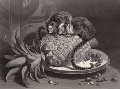 Las Marmozettes de Edwin Landseer