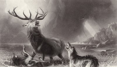 El ciervo acorralado de Edwin Landseer