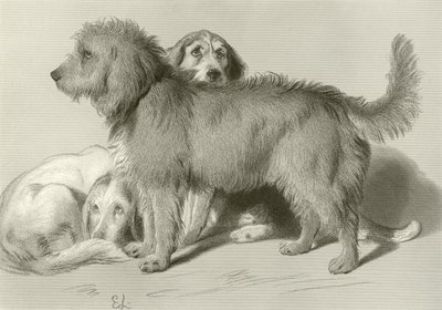 Los tres perros de Edwin Landseer