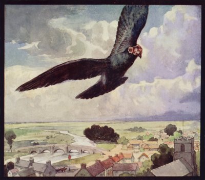 Una Paloma Mensajera en Vuelo de Edwin Noble