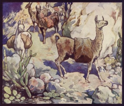 Llamas en los Andes de Edwin Noble