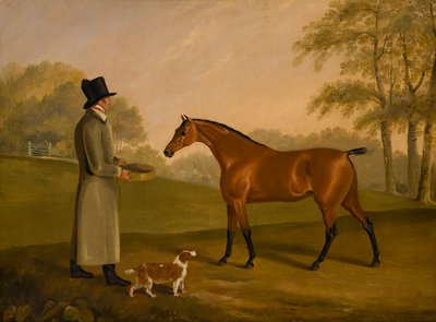 Un caballo en un paisaje con el novio, David, Bennet, c.1805 (óleo sobre lienzo) de Edwin W. Cooper