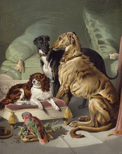 Dash, Héctor, Nero y Lory de Edwin after Landseer