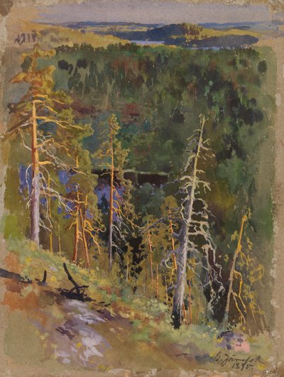  de Eero Järnefelt