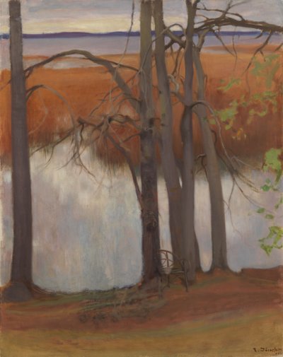 Orilla del lago con juncos de Eero Järnefelt