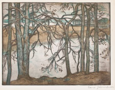  de Eero Järnefelt
