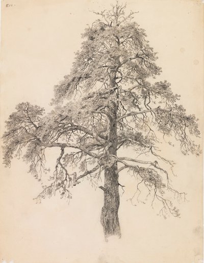 Copa de pino de Eero Järnefelt