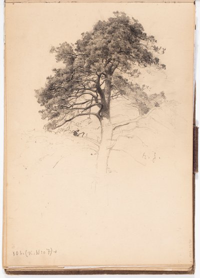  de Eero Järnefelt