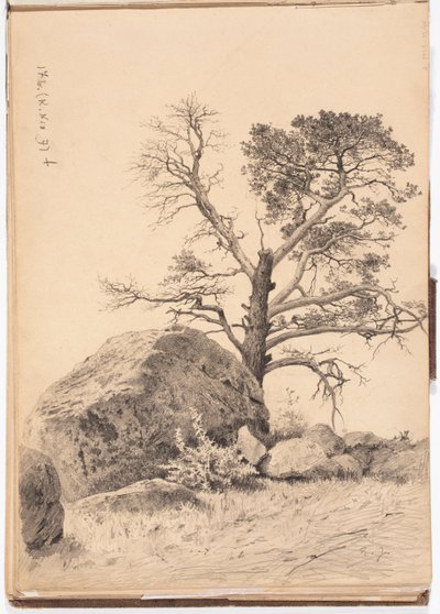 Sin título de Eero Järnefelt