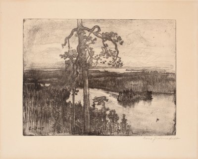  de Eero Järnefelt