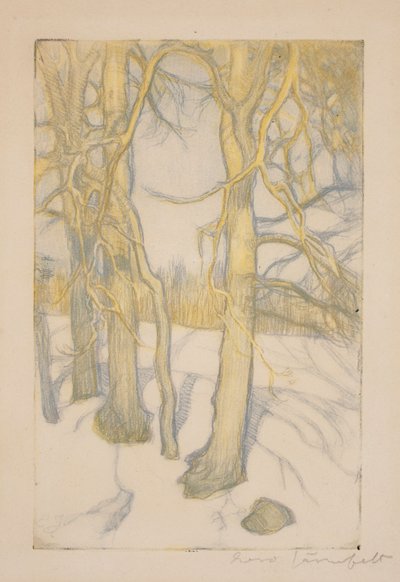 Sin título de Eero Järnefelt