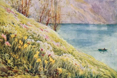 Suiza de Effie Jardine