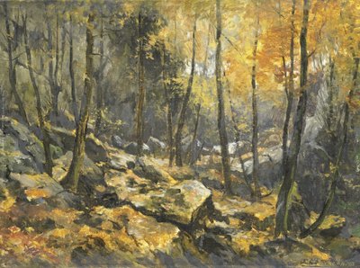 Felsenmeer de Egbert Rubertus Derk Schaap