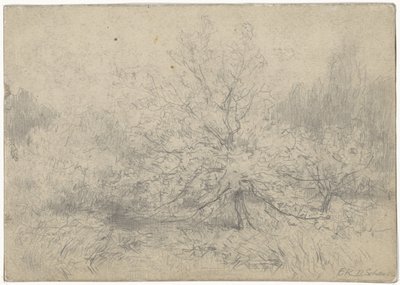 Paisaje con un árbol destacado en el centro de Egbert Rubertus Derk Schaap